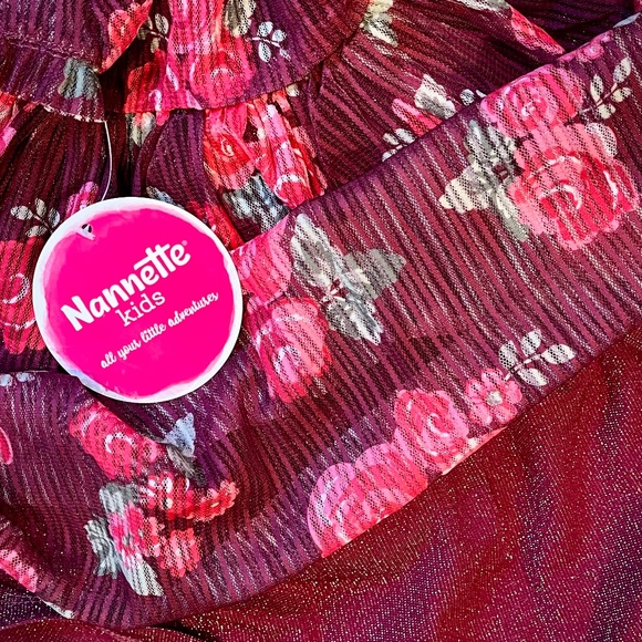 Nannette Kids Girls Pleated Tulle Overlay Velvet Ribbon Waist Rose Dress 2T 4T - Picture 4 of 8